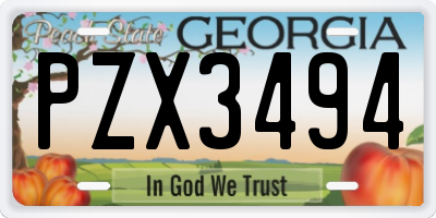 GA license plate PZX3494