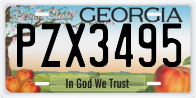 GA license plate PZX3495