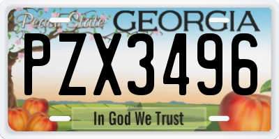 GA license plate PZX3496