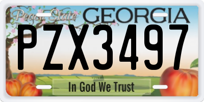 GA license plate PZX3497