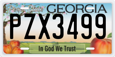 GA license plate PZX3499