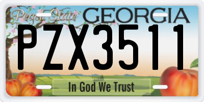GA license plate PZX3511
