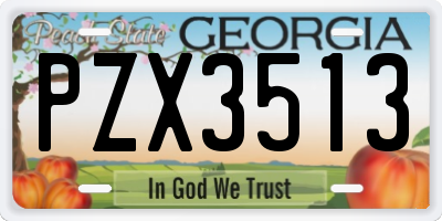 GA license plate PZX3513