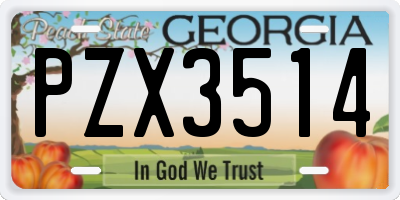 GA license plate PZX3514