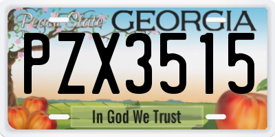 GA license plate PZX3515