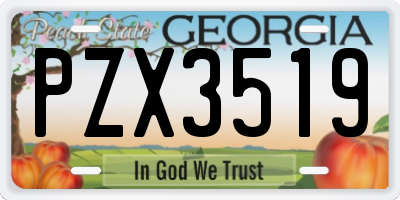 GA license plate PZX3519