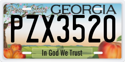 GA license plate PZX3520