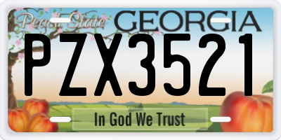 GA license plate PZX3521