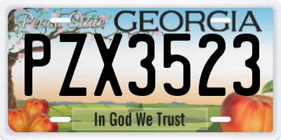 GA license plate PZX3523