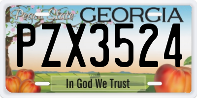 GA license plate PZX3524