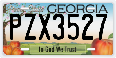 GA license plate PZX3527