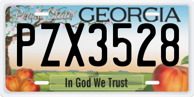 GA license plate PZX3528