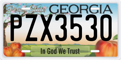 GA license plate PZX3530