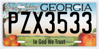 GA license plate PZX3533