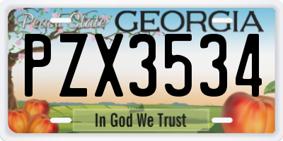 GA license plate PZX3534