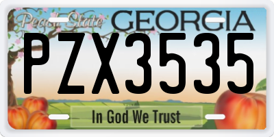 GA license plate PZX3535