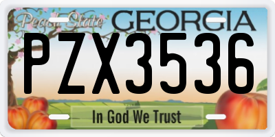 GA license plate PZX3536