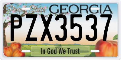 GA license plate PZX3537