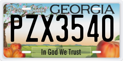 GA license plate PZX3540