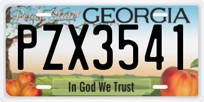 GA license plate PZX3541