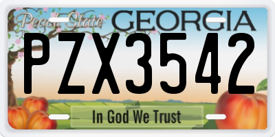 GA license plate PZX3542