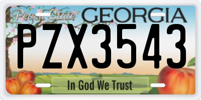 GA license plate PZX3543