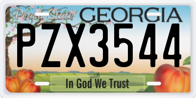 GA license plate PZX3544