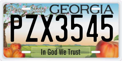 GA license plate PZX3545