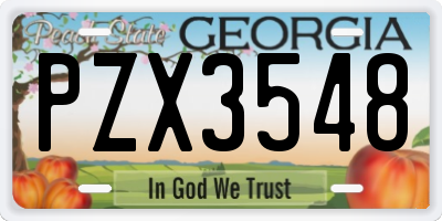 GA license plate PZX3548
