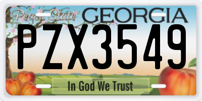 GA license plate PZX3549
