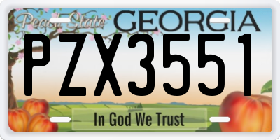 GA license plate PZX3551