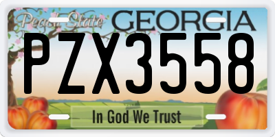 GA license plate PZX3558