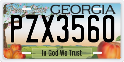 GA license plate PZX3560