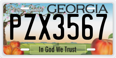 GA license plate PZX3567