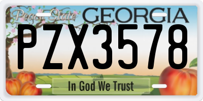 GA license plate PZX3578