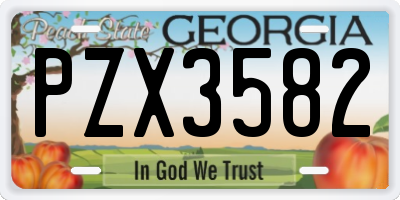 GA license plate PZX3582