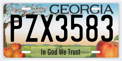 GA license plate PZX3583