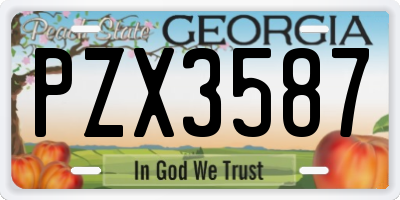 GA license plate PZX3587