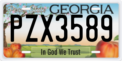 GA license plate PZX3589