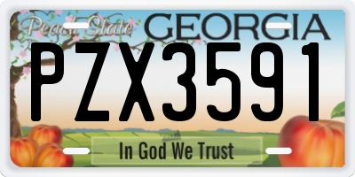 GA license plate PZX3591