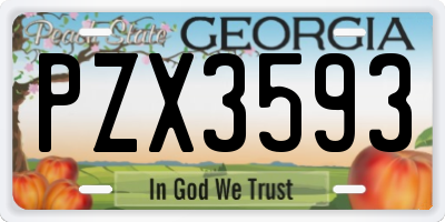 GA license plate PZX3593