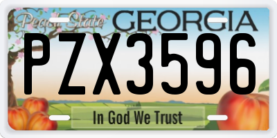 GA license plate PZX3596