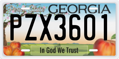 GA license plate PZX3601
