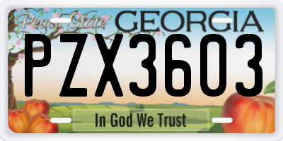 GA license plate PZX3603