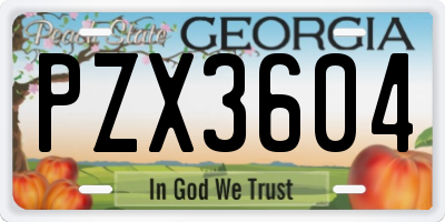GA license plate PZX3604