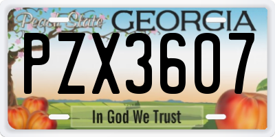 GA license plate PZX3607