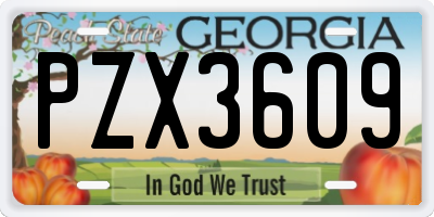 GA license plate PZX3609