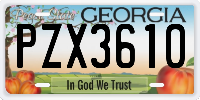 GA license plate PZX3610