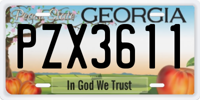 GA license plate PZX3611