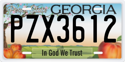 GA license plate PZX3612